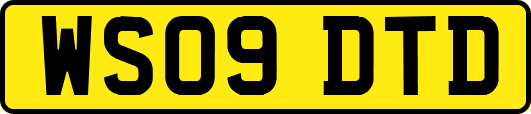 WS09DTD