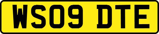 WS09DTE