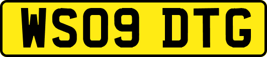 WS09DTG