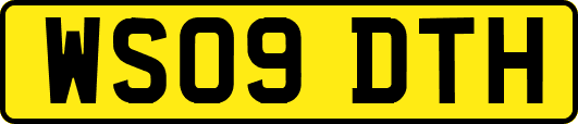 WS09DTH