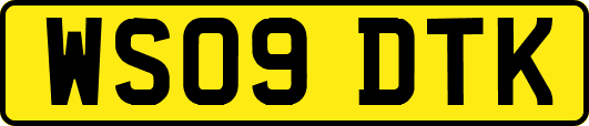 WS09DTK