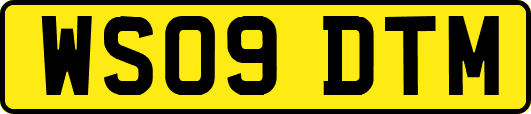 WS09DTM