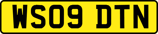 WS09DTN