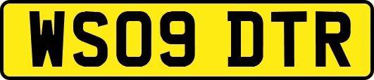 WS09DTR