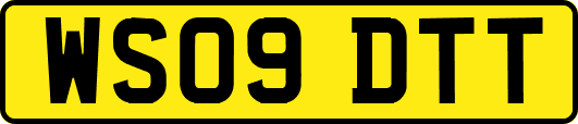 WS09DTT
