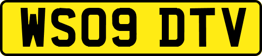 WS09DTV