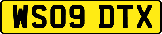 WS09DTX