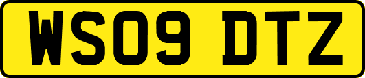WS09DTZ