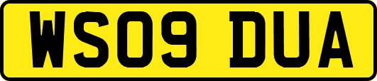 WS09DUA
