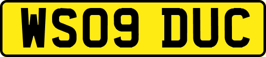 WS09DUC