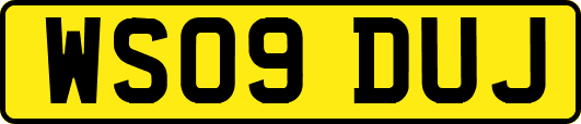 WS09DUJ