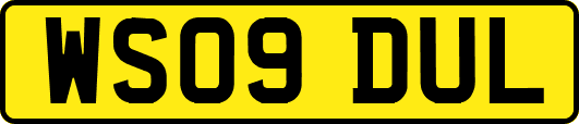 WS09DUL
