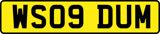 WS09DUM