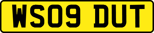WS09DUT