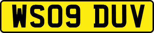 WS09DUV