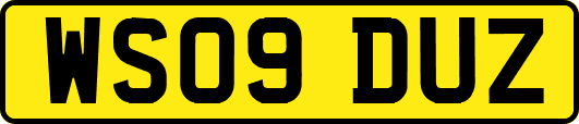 WS09DUZ