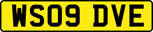 WS09DVE