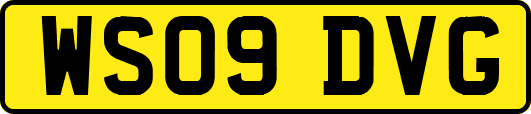 WS09DVG