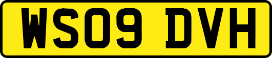 WS09DVH