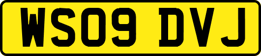 WS09DVJ