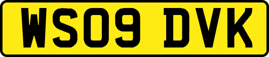WS09DVK