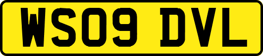 WS09DVL