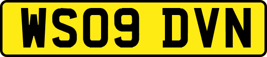 WS09DVN