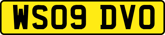 WS09DVO