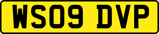 WS09DVP