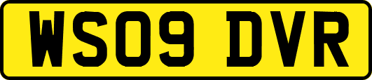 WS09DVR