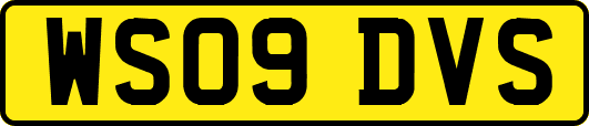 WS09DVS