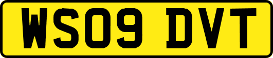 WS09DVT