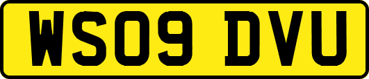 WS09DVU