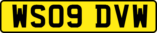 WS09DVW
