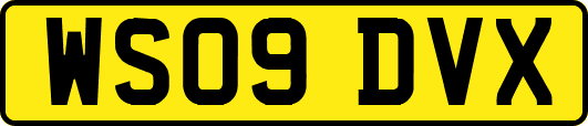 WS09DVX