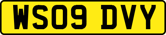 WS09DVY