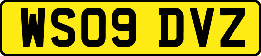 WS09DVZ