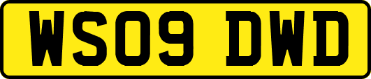 WS09DWD
