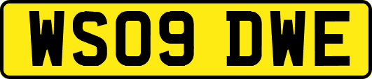 WS09DWE