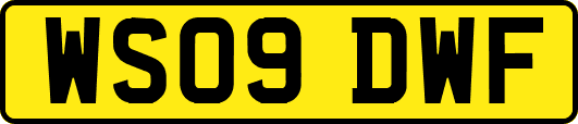 WS09DWF
