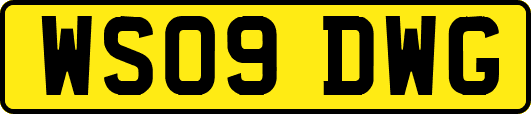 WS09DWG