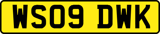 WS09DWK