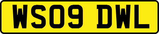 WS09DWL