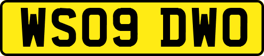 WS09DWO