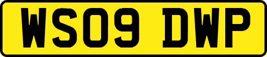 WS09DWP