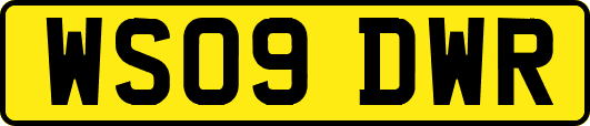 WS09DWR