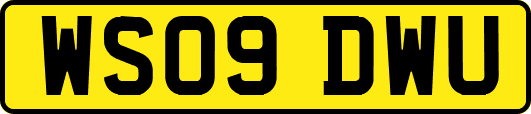 WS09DWU