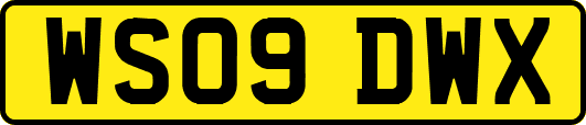 WS09DWX