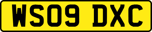 WS09DXC
