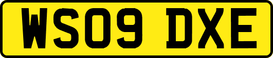 WS09DXE